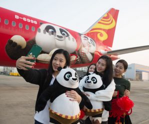 IATA bullish on China aviation market