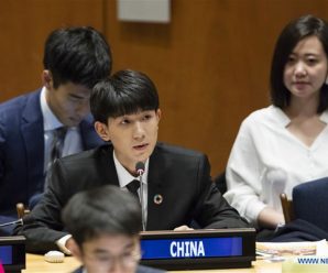 Popular Chinese teenage star speaks on quality education at UN forum