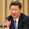 Xi: Judicial reform key to rule of law