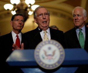 US Senate aims for a ‘skinny’ Obamacare repeal as other options fail