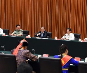 Top political advisor calls for progress in ethnic unity