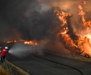 Return of wind, heat brings back forest fires to Portugal