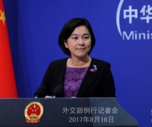 Chinese troops patrol control line on China-India border: FM spokesperson