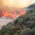 L.A. declares local emergency amid huge wildfire