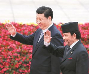 Xi discusses cooperation with Brunei sultan