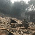 At least 21 dead, hundreds missing as winds fan California wildfires