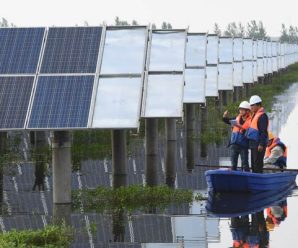 China retains No 1 spot in renewable energy