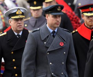 Prince Charles leads Remembrance day ceremony for British war dead