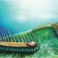 ‘Strange beyond measure’ sea creature unearthed in China