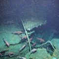 WWI Australia submarine wreck found off PNG