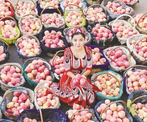 E-commerce helps sell genuine Aksu apples