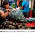 Mexico eyes export market for avocados