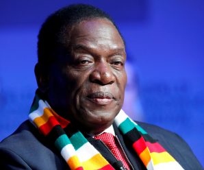 Mnangagwa promises elections by July