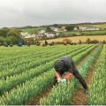 Brexit forces British farmer to move work to China