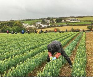 Brexit forces British farmer to move work to China