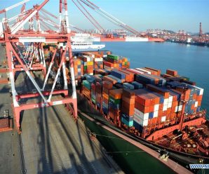 Exports increase 44.5% in February