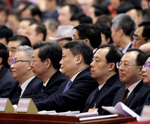 Fresh faces bring new ideas to NPC, CPPCC