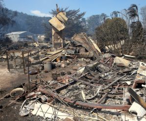 Residents flee, homes razed as bush fires rage across Australia’s east