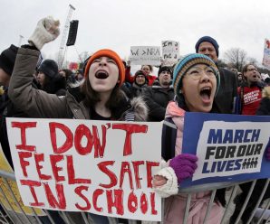 Protesters rally in US for gun control