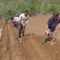 Herbs are Yunnan village’s prescription for a better life