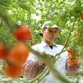 Hainan cultivating high-tech agriculture