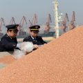 Govt puts duties on American grain sorghum