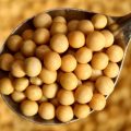 CBOT soybeans slide as China lowers import estimates