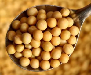 CBOT soybeans slide as China lowers import estimates