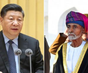 China, Oman issue joint statement on establishment of strategic partnership