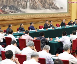 Xi gives new impetus to Belt and Road Initiative