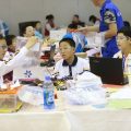 Experts call for emphasis on STEM education in China